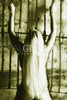 Lori I by Christopher Francis (Limited Edition Fine Art Giclee)