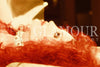 Spell Bound I by Christopher Francis (Limited Edition Fine Art Giclee)