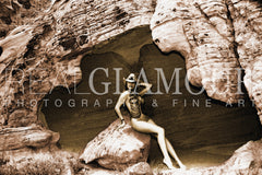 Valley of Fire by Christopher Francis (Limited Edition Fine Art Giclee)