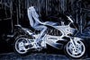 Night Rider by Christopher Francis (Limited Edition Fine Art Giclee)